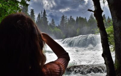 Czy vatowiec może przejść na ryczałt?