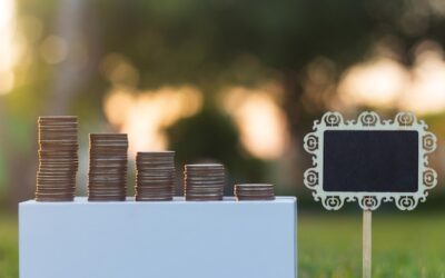 Ile kosztuje hektar talerzowania i od czego zależą ceny?