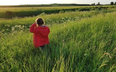 Po jakim czasie wschodzi posiana trawa i co na to wpływa?