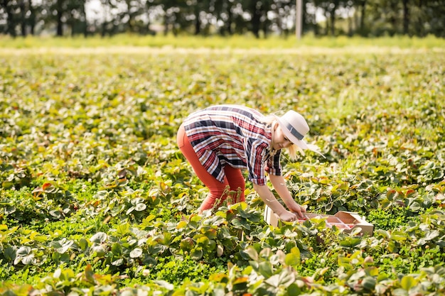 Czy podlewać zasianą trawę, gdy nie widać jeszcze wschodów?