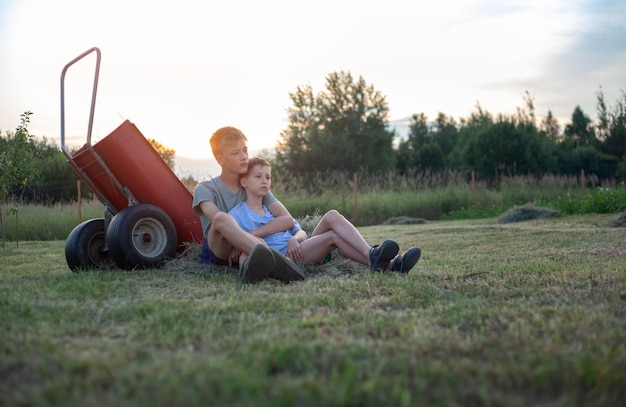 Czy warto mulczować trawę podczas koszenia?