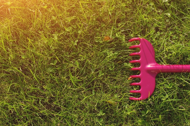 Czy warto wertykulować trawnik?