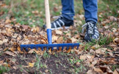 Czym przekopać stary trawnik, aby przygotować go pod nową murawę?