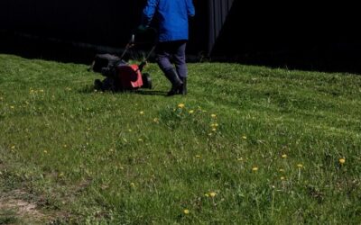 Gdzie można oddać skoszoną trawę po koszeniu ogrodu?