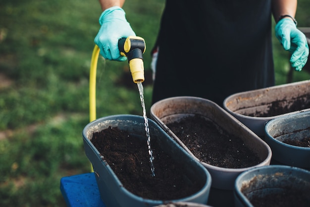 Jak często sypać nawóz na trawę, by cieszyć się zielonym trawnikiem?