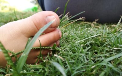 Jak głęboko siać trawę, aby uzyskać równomierny trawnik?