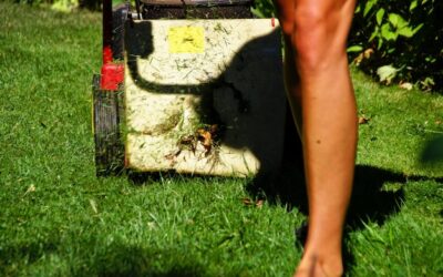 Jak pozbyć się chwastów przed posianiem trawy?