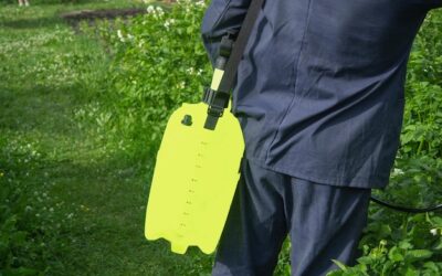 Jak pozbyć się lebiody z trawnika bez uszkadzania roślin?