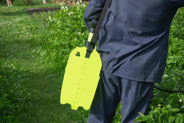 Jak pozbyć się lebiody z trawnika bez uszkadzania roślin?