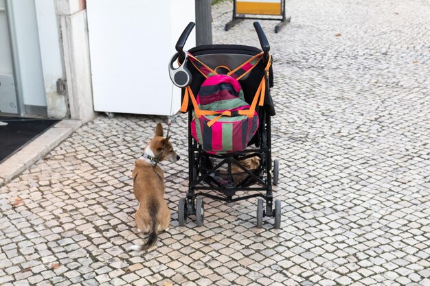 Jak wyprac budkę od wózka, żeby uniknąć uszkodzeń materiału?