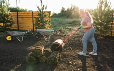 Jak zrobić ładną trawę w ogrodzie bez nadmiernego wysiłku?