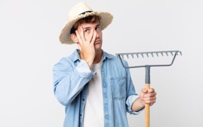 Kiedy nie wolno kosić trawy i co grozi za złamanie przepisów?