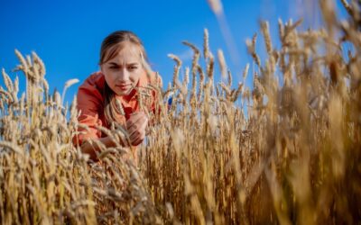 Kiedy pylą trawy i zboża i jak się wtedy chronić?