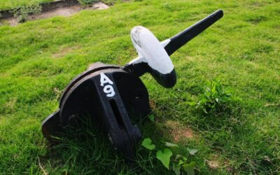 Na jaką wysokość kosić trawnik, by cieszyć się zdrową murawą?