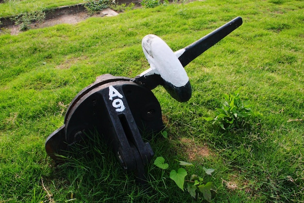 Na jaką wysokość kosić trawnik, by cieszyć się zdrową murawą?