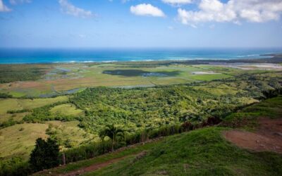 Od czego zależy ile do hektara można uzyskać?
