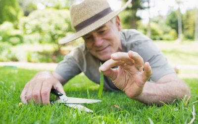 Od czego zależy ile kosztuje koszenie działki?