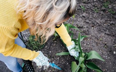 Po jakim czasie zaczyna rosnąć trawa i od czego to zależy?