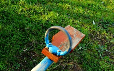 Trawnik z rolki jak pielęgnować po założeniu?