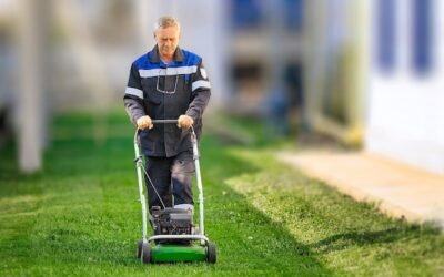 Wertykulator kiedy najlepiej użyć go w ogrodzie?