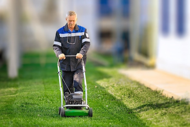 Wertykulator kiedy najlepiej użyć go w ogrodzie?