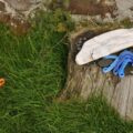 Czy można wyrzucać skoszoną trawę do lasu?