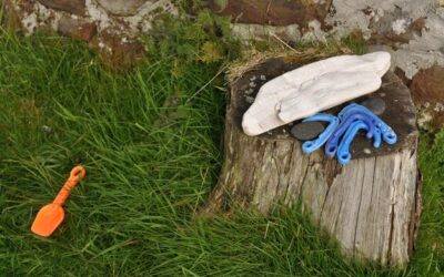 Czy można wyrzucać skoszoną trawę do lasu?