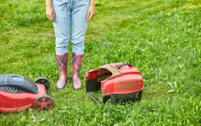 Jak posiać trawę w ogródku, aby cieszyć się pięknym trawnikiem?