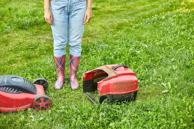 Jak posiać trawę w ogródku, aby cieszyć się pięknym trawnikiem?