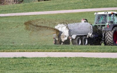 Jak sypać nawóz na trawę, by uzyskać zdrowy i zielony trawnik?