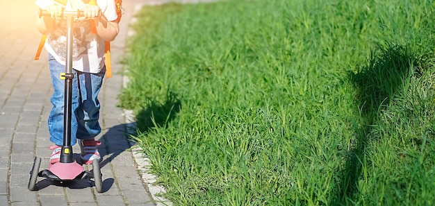 Jak szybko zasiać trawę na swoim podwórku?