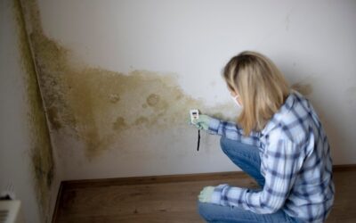 Jak walczyć z wilgocią na ścianach w domu?