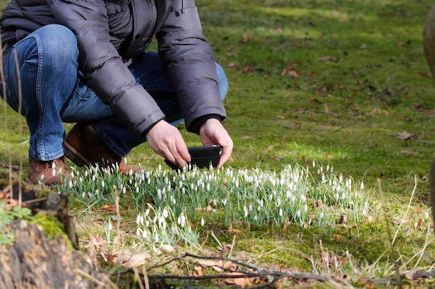 Jak zbierać nasiona traw ozdobnych w ogrodzie?