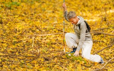 Kiedy nawozić trawę na jesień, aby cieszyć się zielonym trawnikiem?