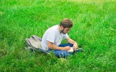 Kiedy siać trawę samozagęszczającą, by cieszyć się gęstym trawnikiem?