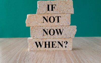 Kosic trawę czy nie? O czym warto pamiętać przed podjęciem decyzji