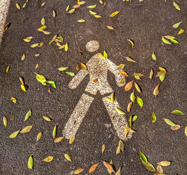 Lekarstwo na życie o co chodziło w tej tajemniczej historii?