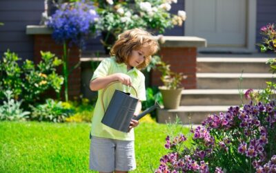 O której podlewać trawnik, żeby był zielony przez całe lato?