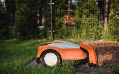 Robot do koszenia trawy jaki wybrać do swojego ogrodu?