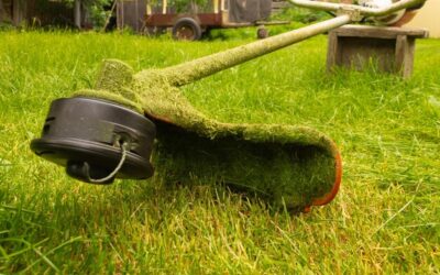 Trawa z rolki kiedy układać, aby cieszyć się zielonym trawnikiem?