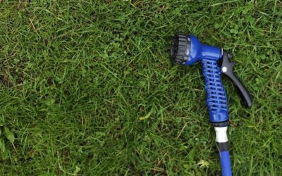 Wertykulacja trawnika jak głęboko powinna być wykonana?