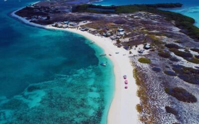 Ile zapłacisz za hybrydy u kosmetyczki?