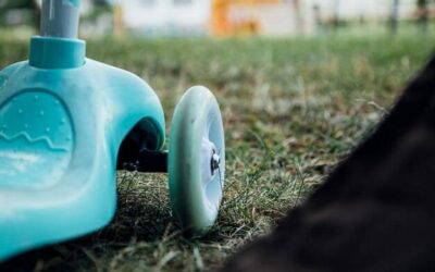 Jak przygotować ziemię pod trawę z rolki, by cieszyć się gęstym trawnikiem?