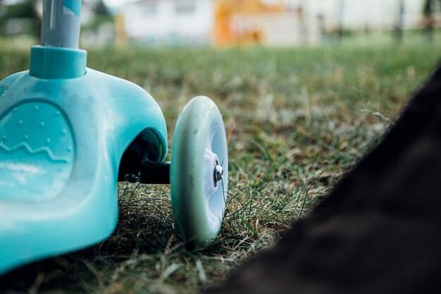 Jak przygotować ziemię pod trawę z rolki, by cieszyć się gęstym trawnikiem?