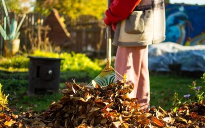 Jesienny nawóz do trawy kiedy najlepiej zastosować?