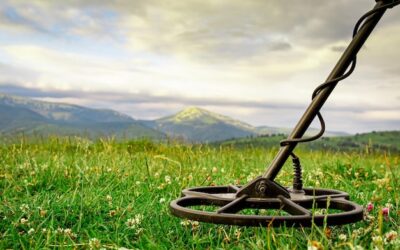 Kiedy drugie koszenie trawy jest najbardziej korzystne?