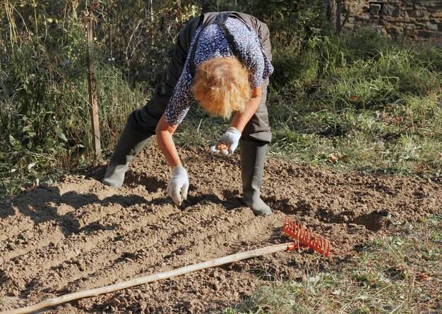 Kiedy podsiewać trawę, aby uzyskać gęsty i zielony trawnik?