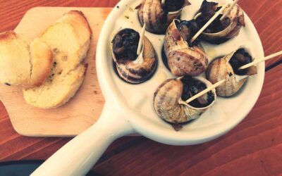 Ślimaki winniczki jak przygotować na domowy obiad?