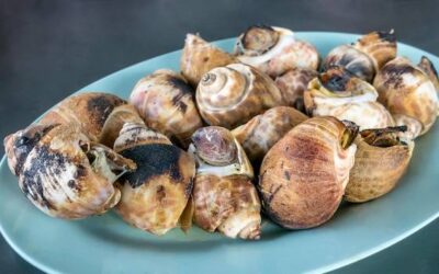 Jak przygotować ślimaki do jedzenia w domowych warunkach?