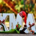 Zakupy spożywcze online gdzie najtaniej w codziennych zakupach?